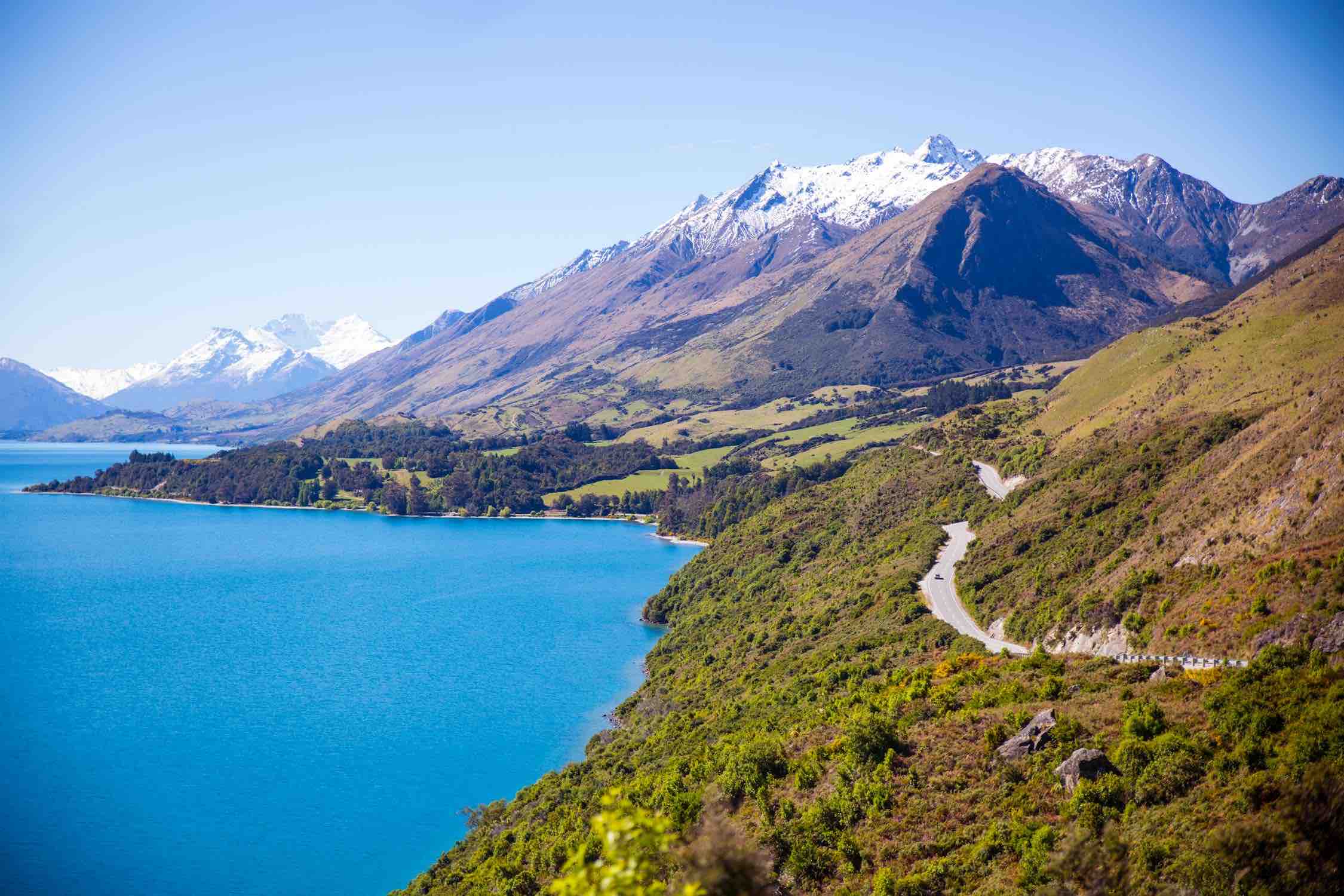 Home Banner New Zealand Driver License